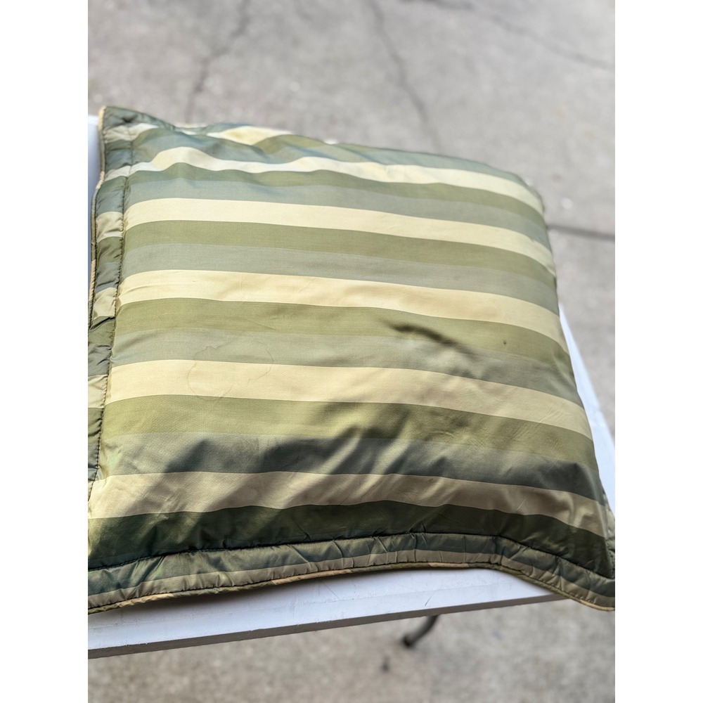 Unbranded Striped Pillow Sham and Bed Skirt Set Green Cream Sage Traditional